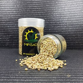 تصویر تخم گشنیز 