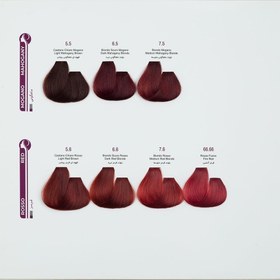 تصویر رنگ مو پرنسلی 120 میل - 5.12 princely