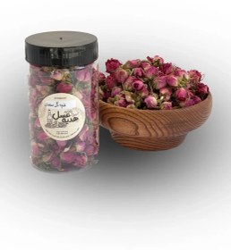 تصویر غنچه گل محمدی 