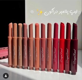 تصویر لیپ پلامپر دراگون - 7 