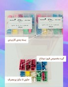 تصویر مجموعه 100 عددی فیوزدوشاخ (10،15،20،25،30 آمپر) - 100 عددی Blade Fuse