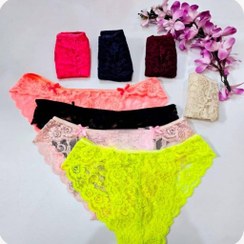 تصویر شورت گیپور دو پاپیون 