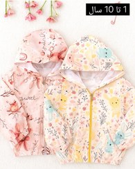 تصویر بارونی دخترانه خرگوشی 