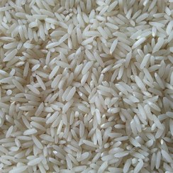 تصویر برنج طارم هاشمی فریدون کنار کیفیت عالی(10 کیلوگرمی) 