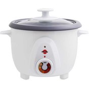 تصویر پلوپز پارس خزر مدل تیان ۱۸۱N Pars Khazar RC-181N TYAN Rice Cooker