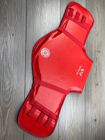 تصویر هوگو ووشو 