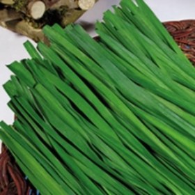 تصویر بذر تره 20 گرمی 