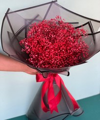 تصویر دسته گل ژیپسوفیلا قرمز 