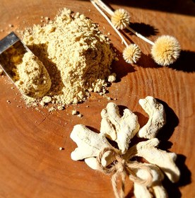 تصویر پودر زنجبیل - پت ادویه پاش100گرم powder ginger