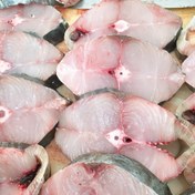 تصویر ماهی شیر اصل جنوب تازه و صید روز 