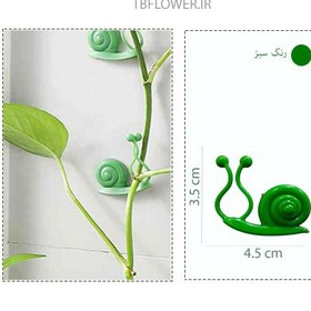 تصویر گیره گل پتوس مدل حلزونی 