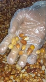 تصویر پودر سنجد ۳۲۰ گرمی 