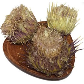 تصویر خار مریم خشک شده 