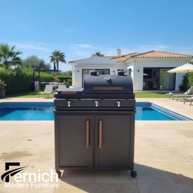 تصویر باربیکیو و منقل گازی زغالی سری z 