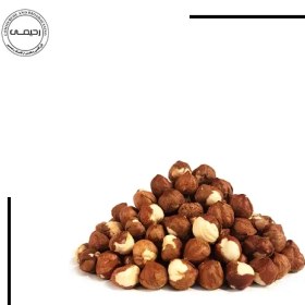 تصویر مغز فندق ایرانی 