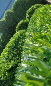 تصویر فنس چمنی تراکم بالا Grass fence