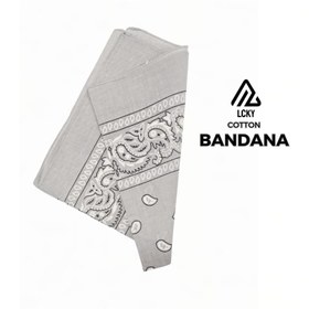 تصویر باندانا طوسی 