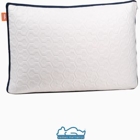 تصویر بالش الیزابت 