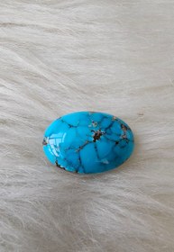 تصویر نگین فیروزه شجر 