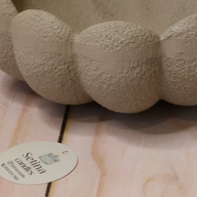 تصویر دیس روشا 