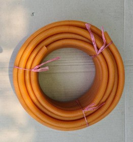 تصویر خرطومی 11 پرتقالی 