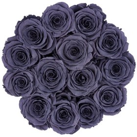 تصویر Grey Eternal Roses in Coco Flocked Box | کد: ZNB-1J3D 