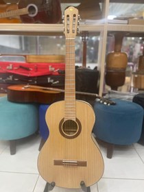 تصویر گیتار متاع پور2پلاس 