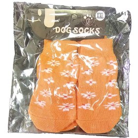 تصویر جوراب سگ 