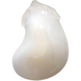 تصویر ظرف سرو گلدکیش 