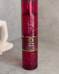 تصویر YOU’RE CHEEKY – Bath & Body WorkS YOU’RE CHEEKY – Bath & Body Works