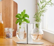 تصویر استند قلمه‌زنی و تکثیر چیبو آلمان 