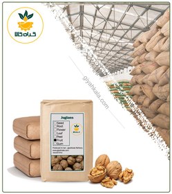 تصویر گردو خشک فله 