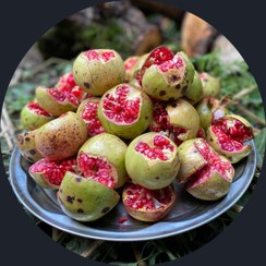 تصویر رب انار جنگلی راز خوشمزگی غذاها