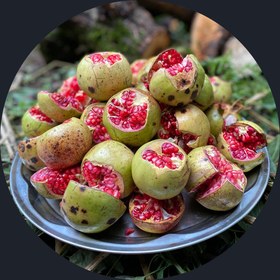 تصویر رب انار جنگلی راز خوشمزگی غذاها