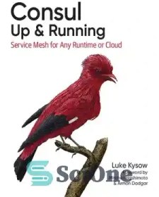 تصویر دانلود کتاب Consul: Up and Running: Service Mesh for Any Runtime or Cloud - Consul: Up and Running: Service Mesh for Any Runtime یا Cloud 