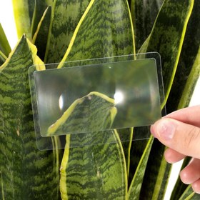 تصویر ذره بین مدل go58magnifier 