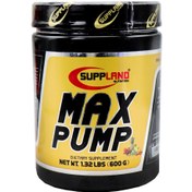 تصویر پودر مکس پمپ ساپلند طعم میکس میوه ۶۰۰ گرم 