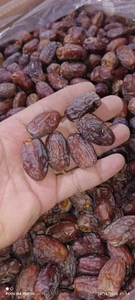 تصویر فروشگاه خرما لطیفی