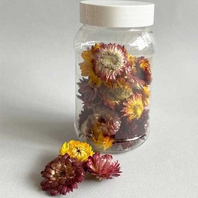 تصویر گل خشک مینا بسته 25 عددی 