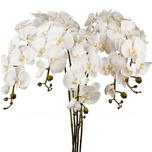 تصویر فروشگاه گل1001