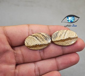 تصویر جفت جاسپر منظره بیضی 7 گرم 