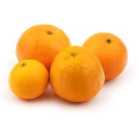 تصویر پرتقال تامسون شمال فله - 1 کیلوگرم ا North Thomson Orange - 1kg North Thomson Orange - 1kg