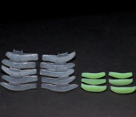 تصویر بیگودی گاوی شاخ دار (8جفتی) 