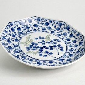 تصویر دیس آریتا 