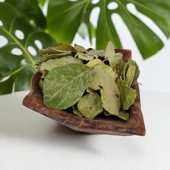 تصویر برگ به 