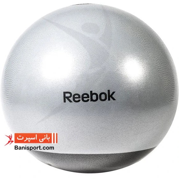 Reebok stability gym online ball