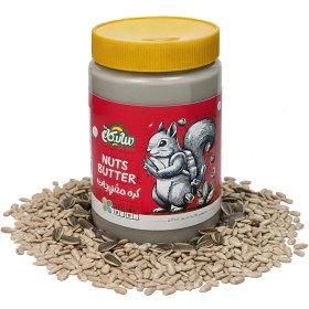 تصویر کره آفتابگردان 