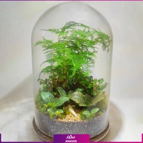 تصویر تراریوم 