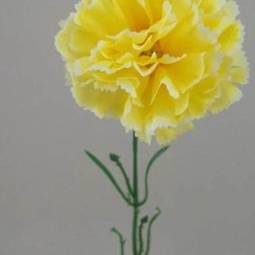 تصویر بذر میخک زرد 40 عددی 