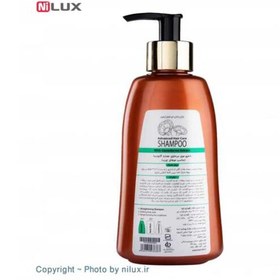 تصویر شامپو گانودرما دکتر بیز مناسب موی چرب Biz shampoo Ganooderma for oily hair